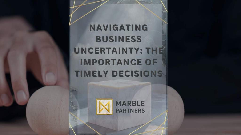 Navigating Business Uncertainty: The Importance of Timely Decisions